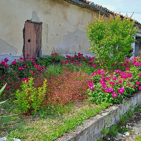 La Garenne Virazeil