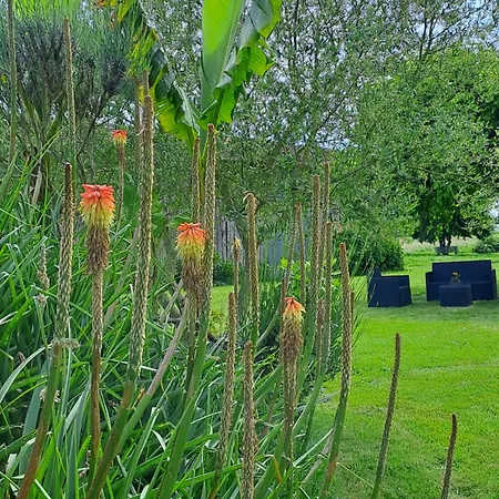 Bed & Breakfast La Garenne